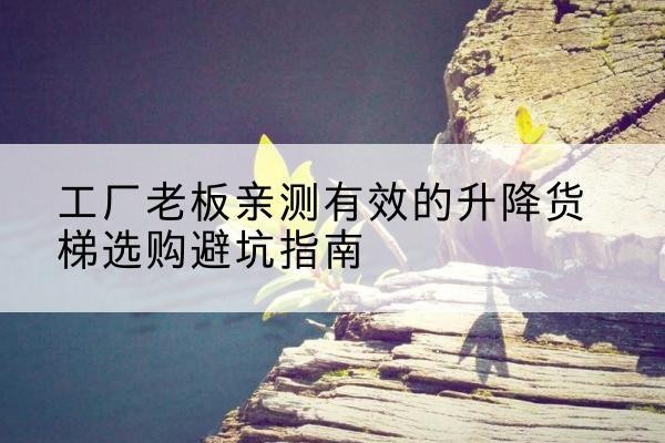 市中升降货梯怎么选-工厂老板亲测有效的升降货梯选购避坑指南